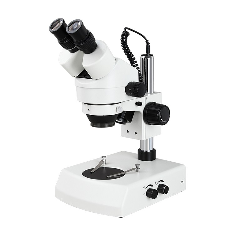 Microscopi binocular estèreo