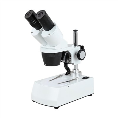 com funciona un microscopi estereofònic