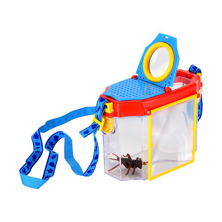 Lupa d'insectes